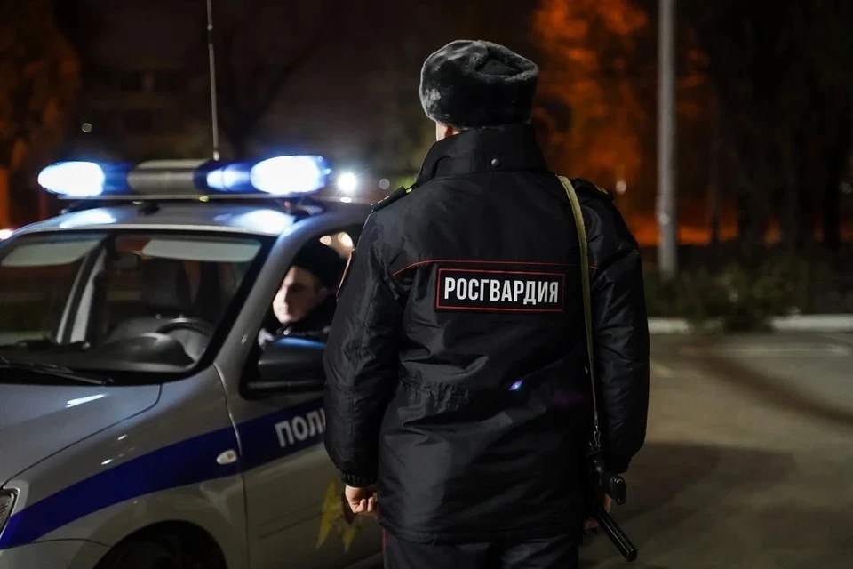 Нарушителя спокойствия задержали сотрудники Росгвардии