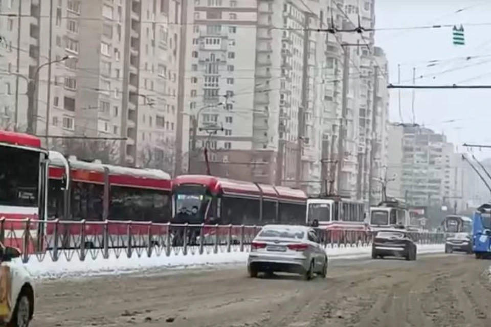 Движение трамваев встало на проспекте Просвещения в Петербурге