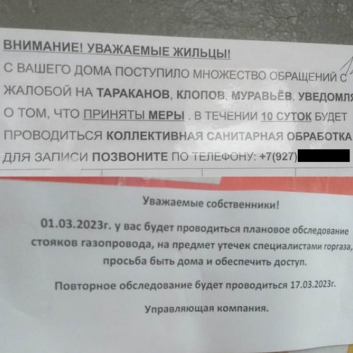 В Волгограде на подъездах домов развесили подозрительные объявления о  проверке газовиков - KP.RU