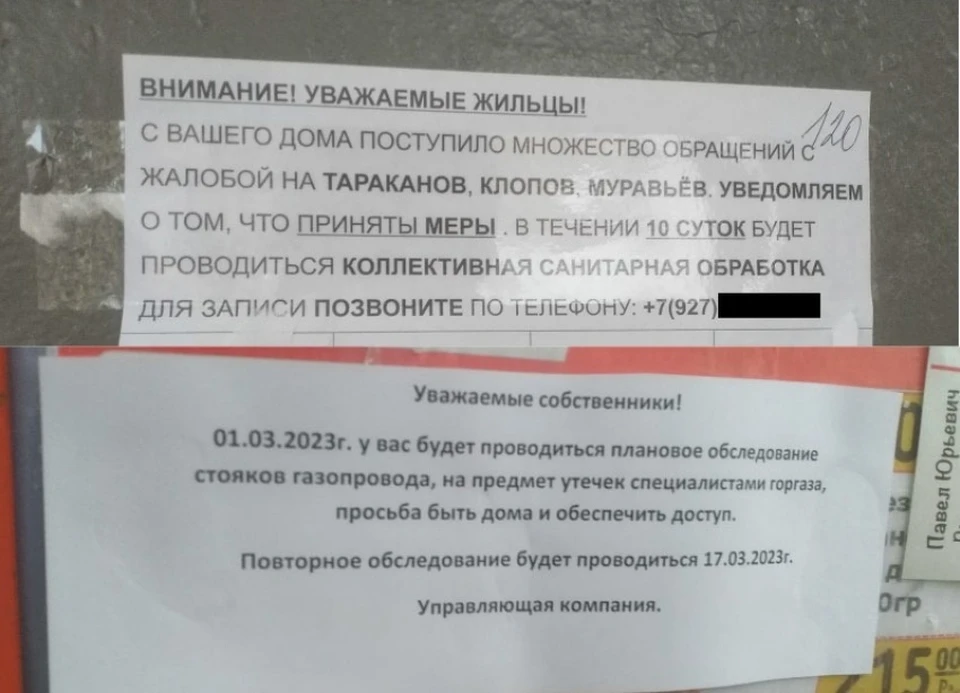 Такие сомнительные объявления появились на подъездах в Волгограде. Фото: инспекция государственного жилищного надзора Волгоградской области.