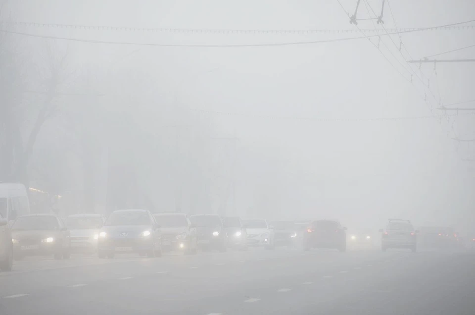 В Тульской области объявлено метеопредупреждение из-за тумана