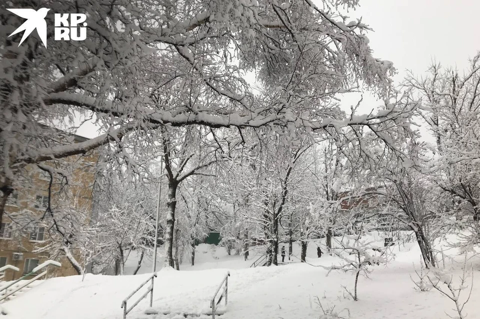 Снежная стихия обрушилась на Владивосток 12 марта.