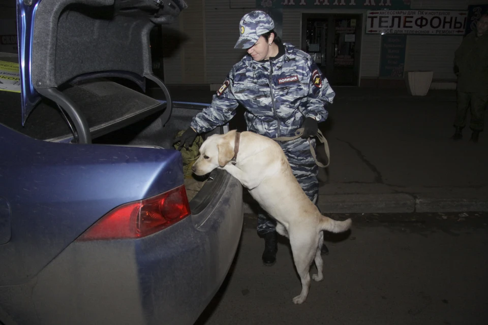 Военнослужащего осудили на Ставрополье за покупку мефедрона