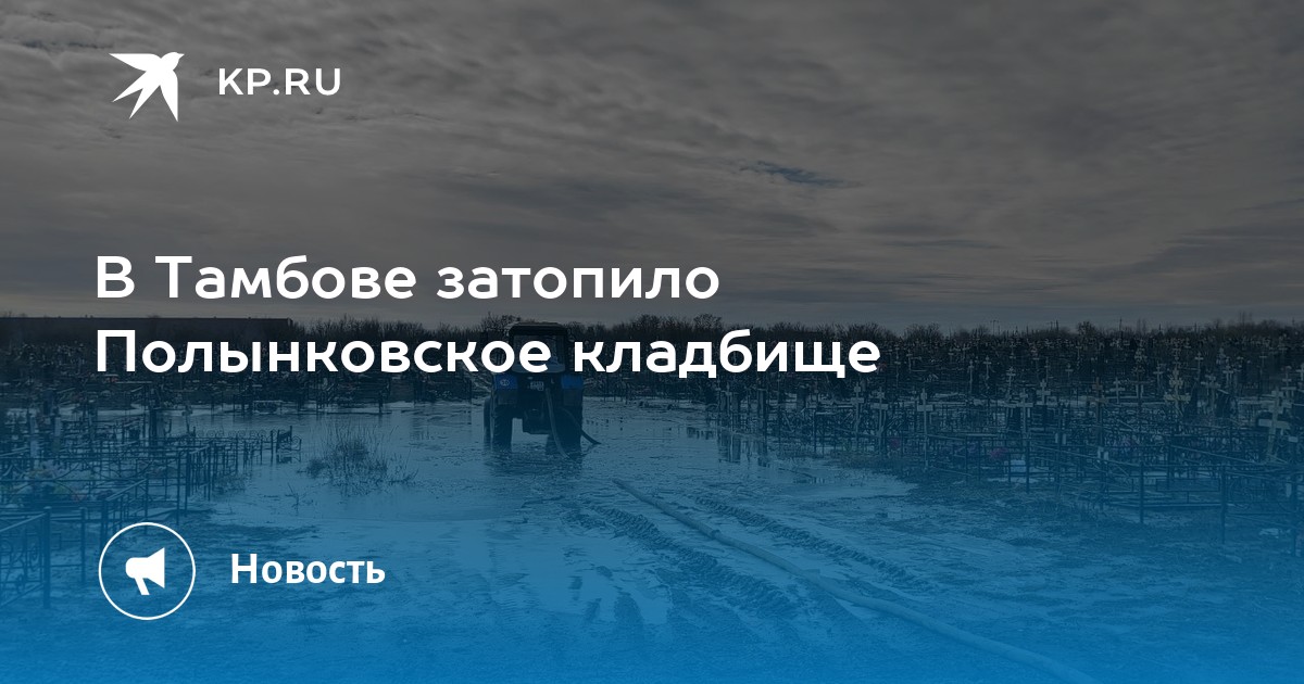 Полынковское кладбище тамбов карта