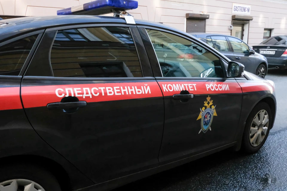Следственный комитет начал проверку избиения педагогом 4-летнего мальчика в Петербурге