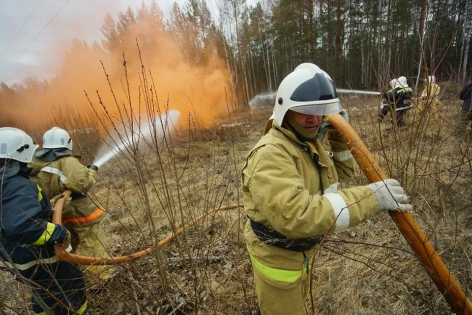 Угроза возникновения пожаров в лесах может достигать 4 класса