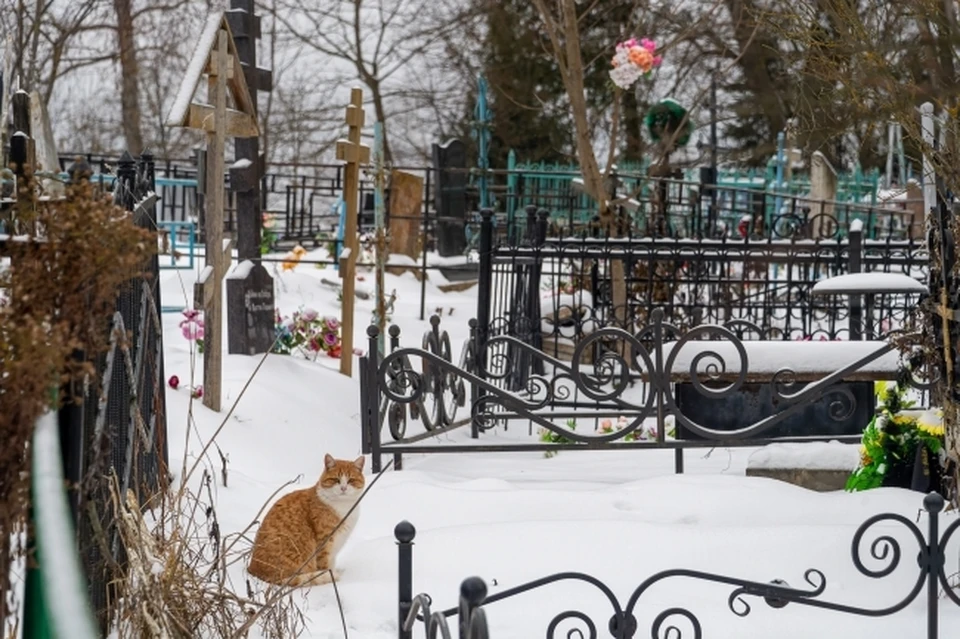 Кладбище убрали после проверки прокуратуры в Магаданской области