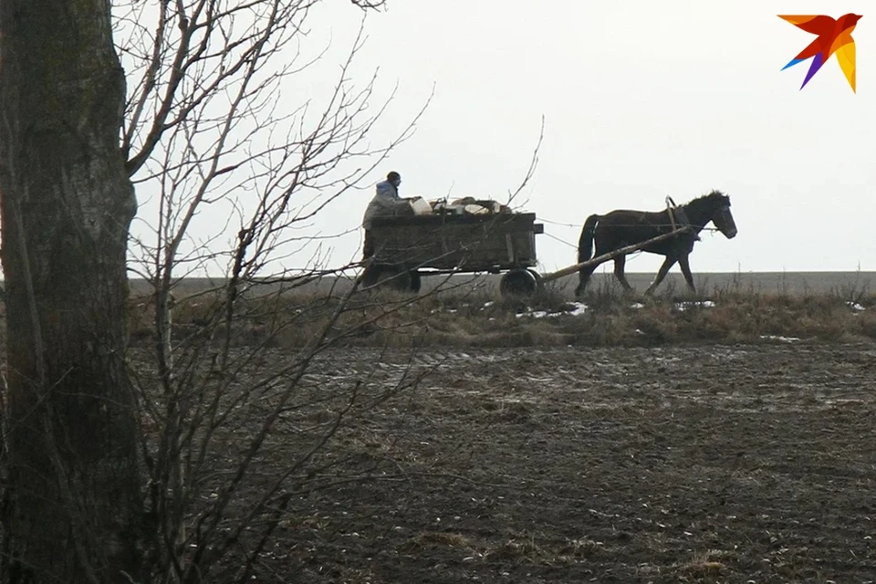 День Конона Огородника отмечают 18 марта.