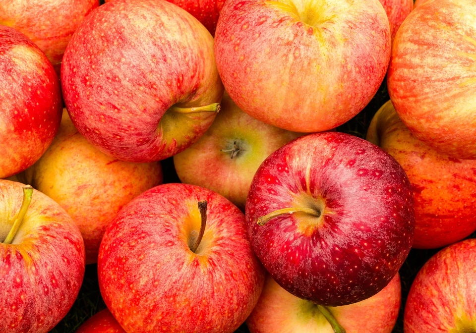 Эксперты считают, что экспорт молдавских яблок ощутимо упадет.
