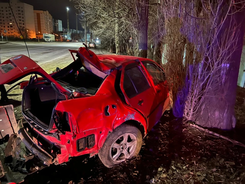 Фото с сайта ГУ МВД по Воронежской области