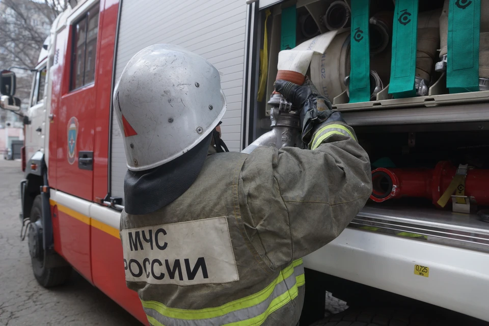 Куры погибли при пожаре в томской деревне.