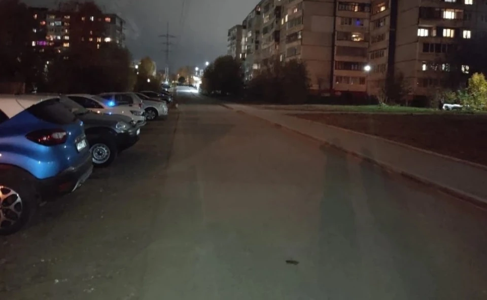 Фото регионального ОНФ