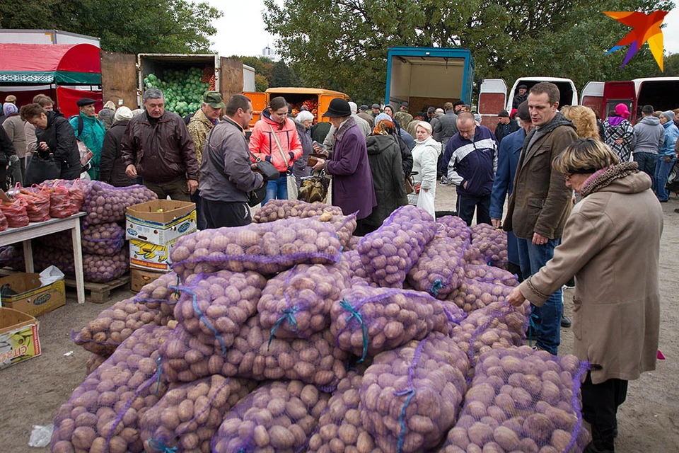 Мешки картошки в обиходе белорусских семей уходят в прошлое.