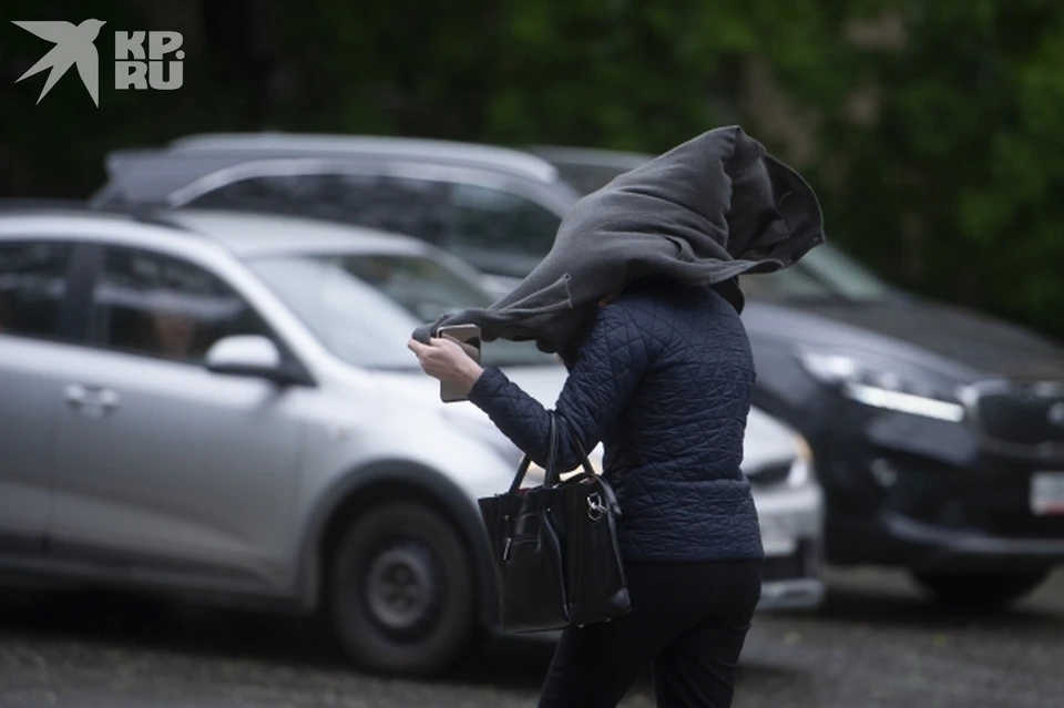 МЧС выпустило экстренное предупреждение из-за усиления ветра в Рязанской области