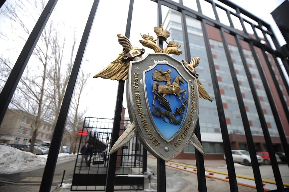Следователи выясняют, какой вред здоровью был причинен девочке