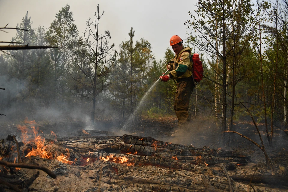 В Минприроды назвали сроки начала пожароопасного сезона в регионе