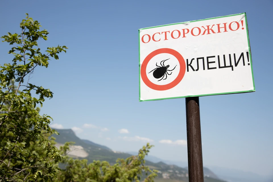 Клещи начали кусать ульяновцев