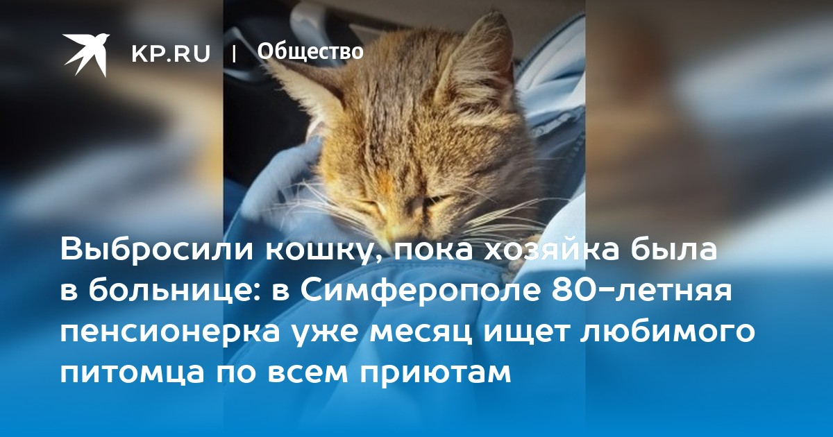 К чему снится выкинуть кошку