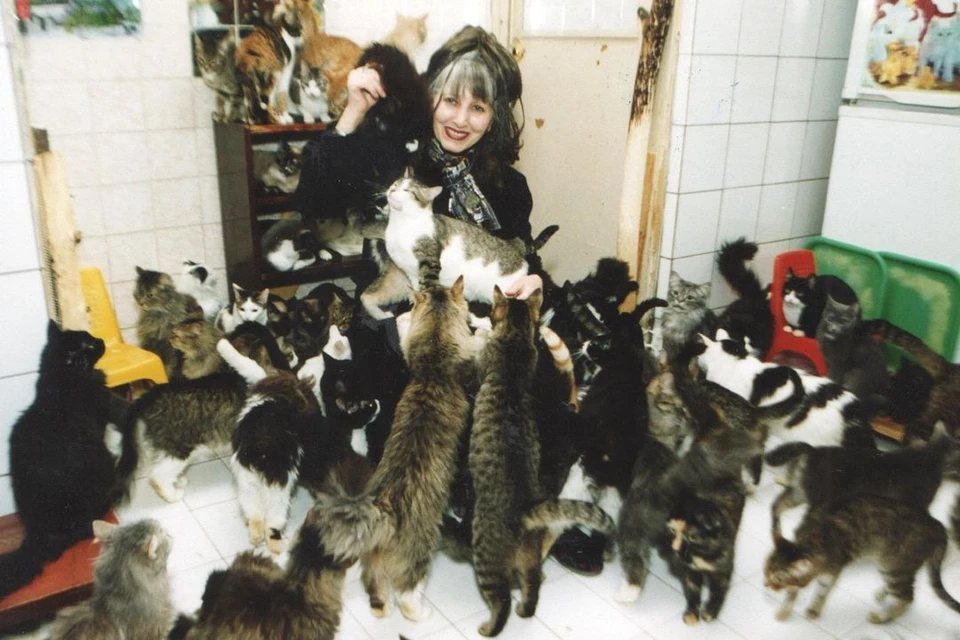 У Нины Косцовой было больше 100 котов.