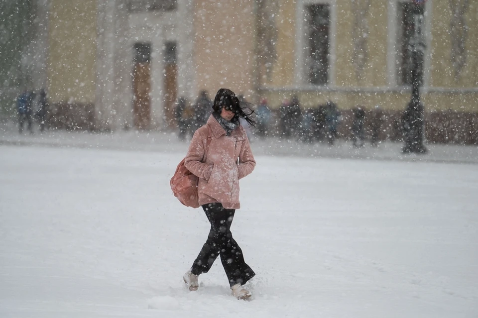 В конце марта на Ростовскую область обрушился снегопад.