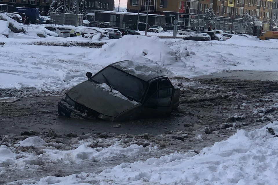 С наступлением весны такая картина в Мурино стала обыденностью.