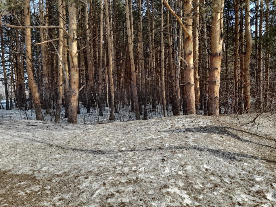 Погода в Югре на 1 апреля