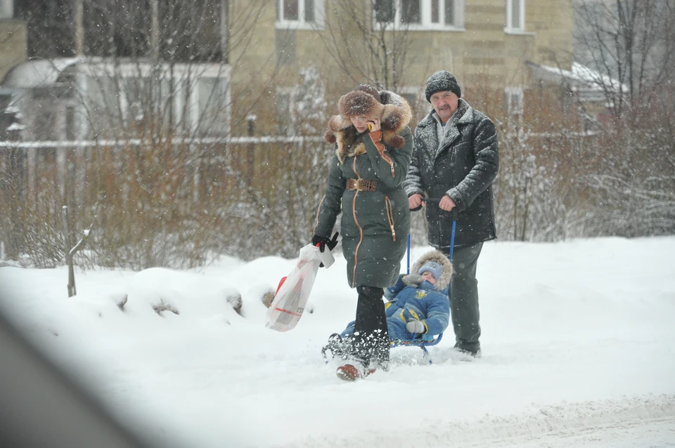 Фото: Жданов Анатолий