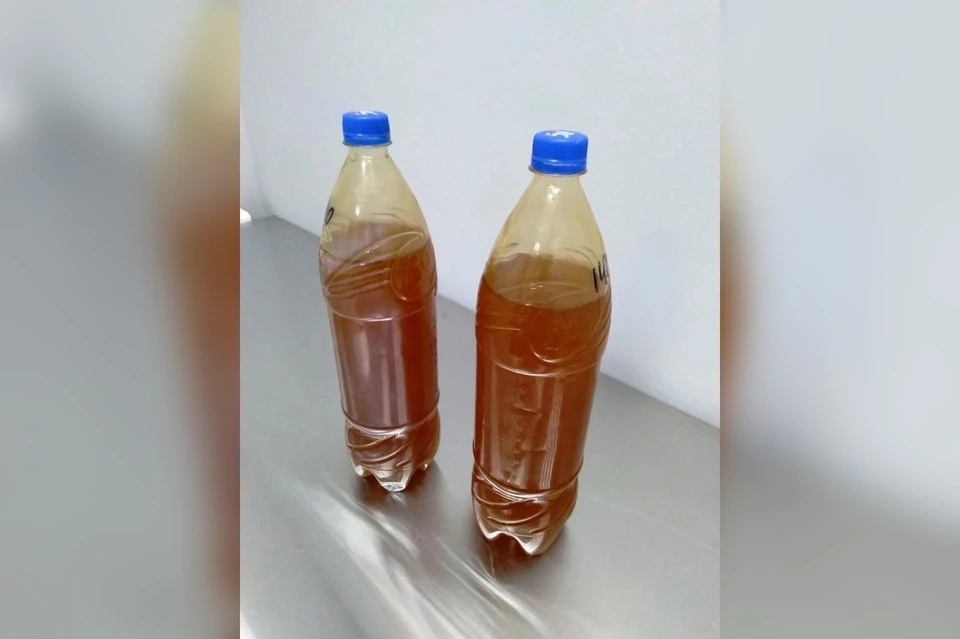 Мед был в двух пластиковых бутылках. Фото: Россельхознадзор Свердловской области
