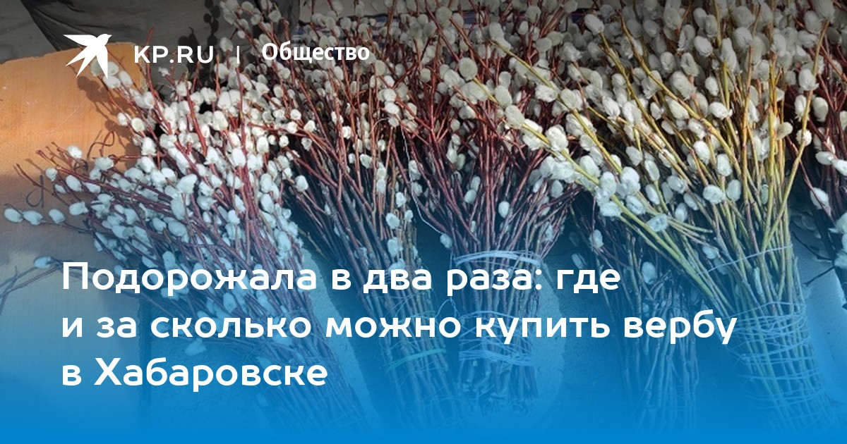 Кинотеатр Верба Октябрьский Купить Билеты