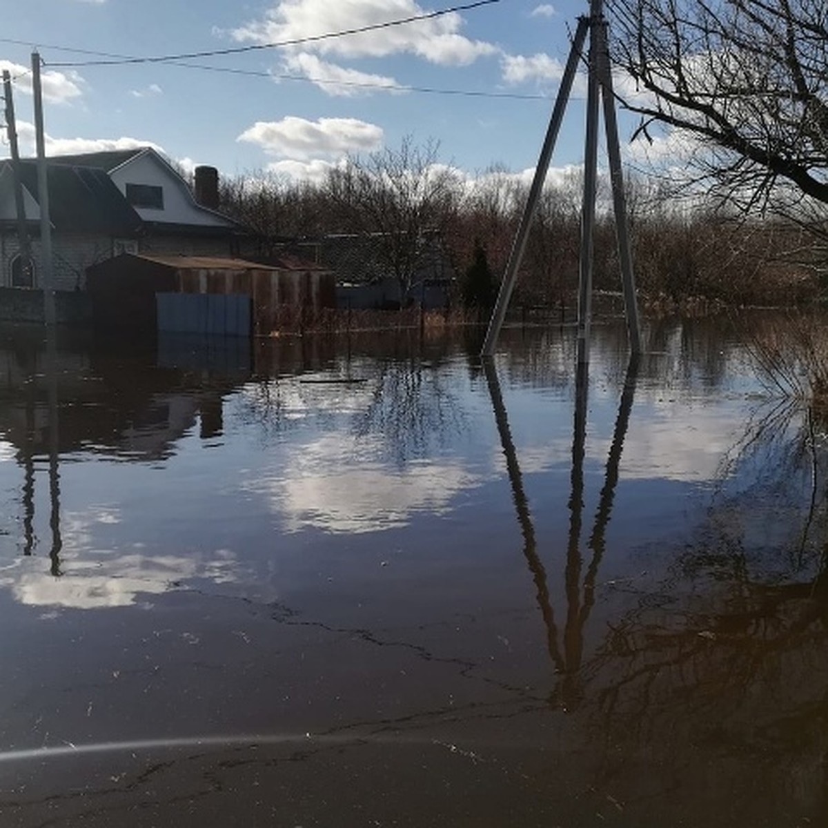 В брянских реках Десна и Болва уровень воды идет на спад - KP.RU