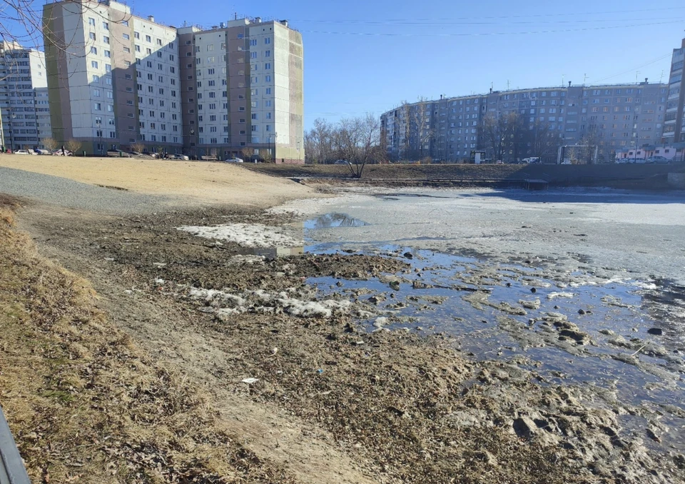 Скоро в пруд дольют воды. Фото: Александр Орел