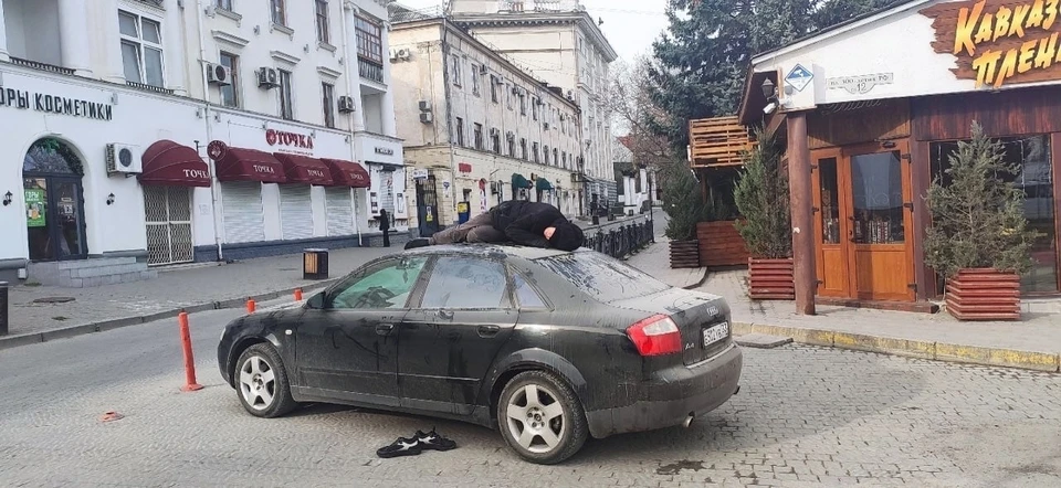 Севастопольский соня. Фото: ВК Северная сторона Севастополя