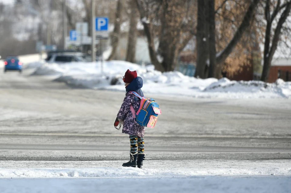 Суд ограничил в родительских правах отца и мать ребенка.