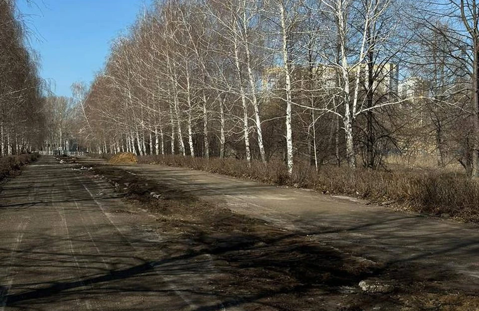 ФОТО: сайт Ульяновской Городской Думы