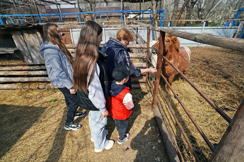 Жители Мариуполя в выходной день гуляют по зоопарку и кормят его обитателей