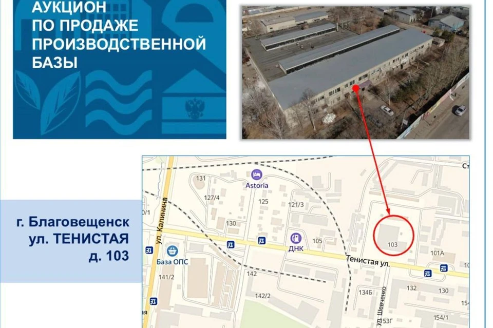 Дополнительная информация. Фото: Telegram-канал КУМИ г. Благовещенска.