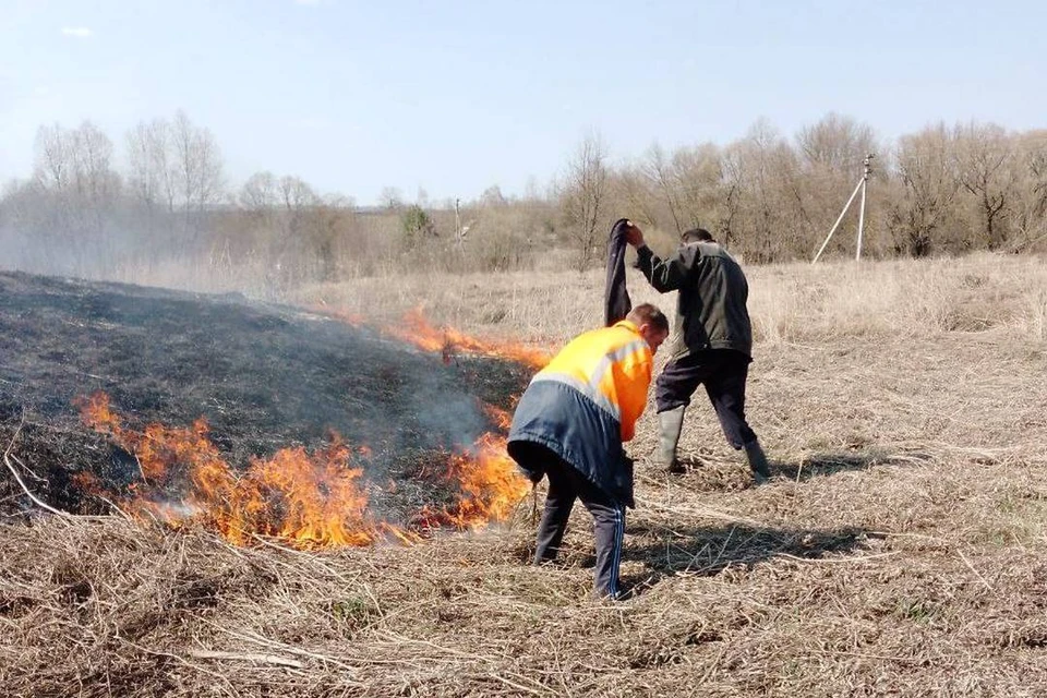 Взрывы в липецкой области сегодня утром. Горит трава. Поджог сухой травы. Пожар травы фото. Фото пожара сухой травы.