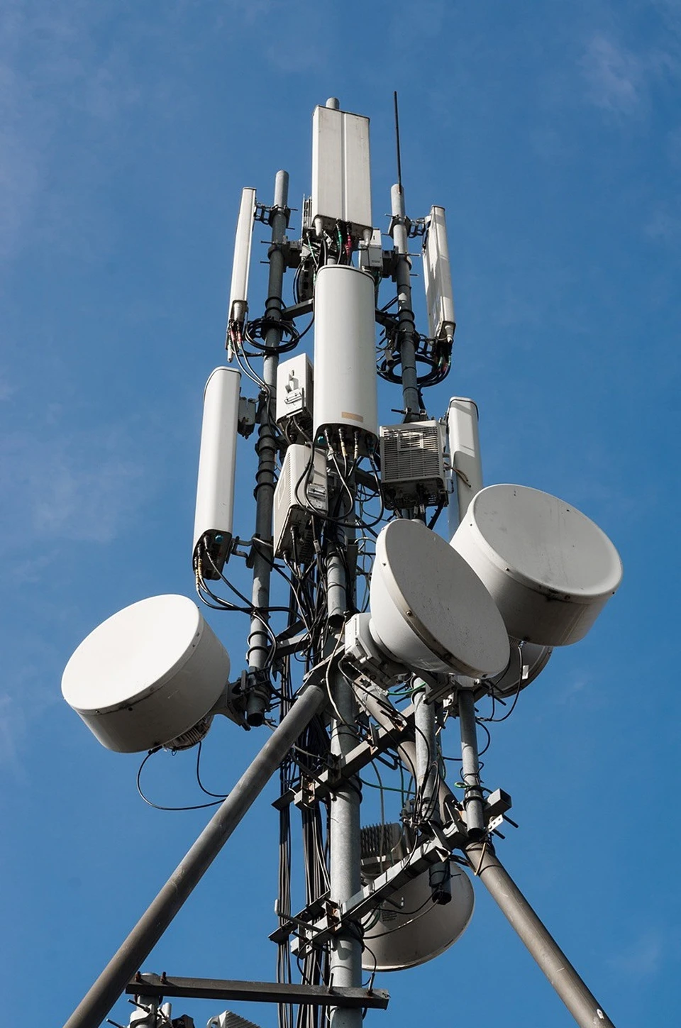 Фото: Елена Лебедева