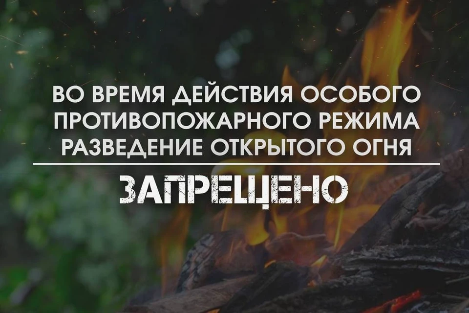 В Липецкой области ввели особый противопожарный режим