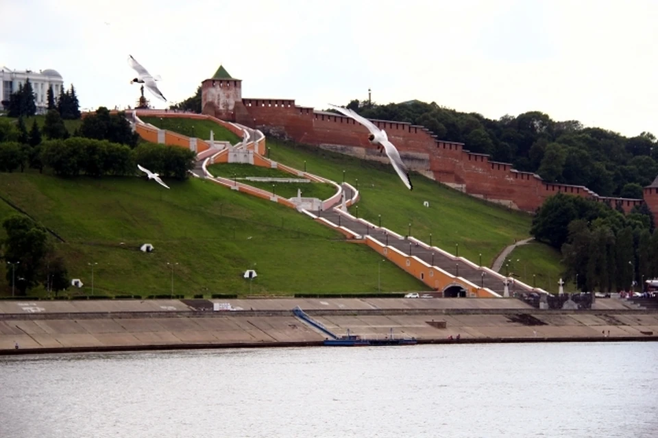 Гребешковский откос в Нижнем Новгороде благоустроят по концессии