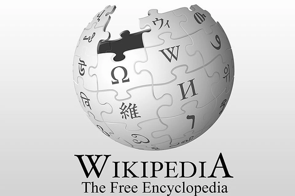 Член ОП РФ Данюк: в России пора создать собственную «Википедию»
