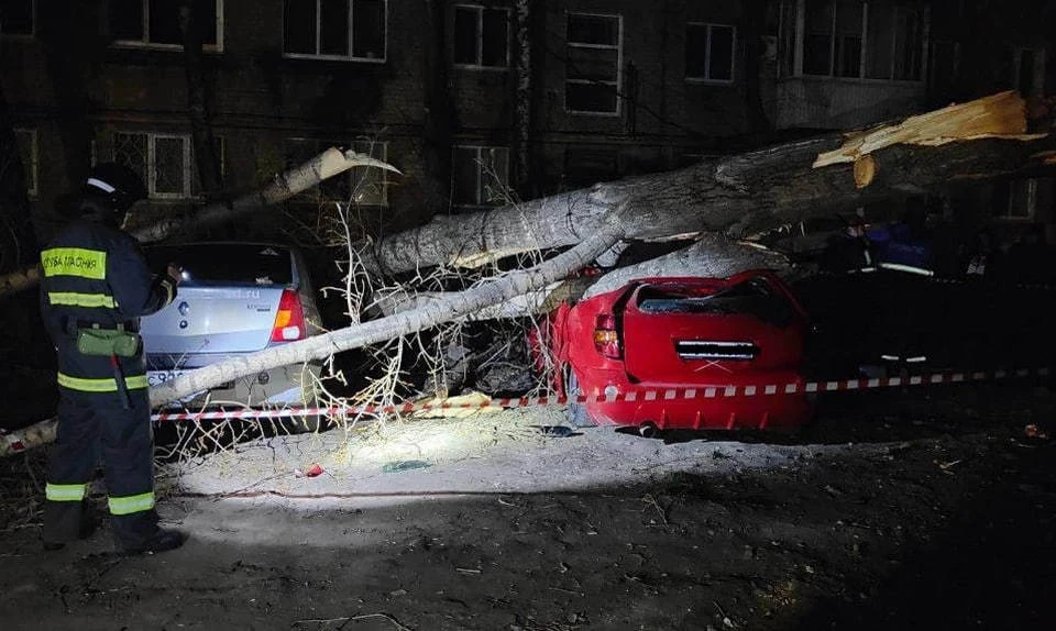 Фото: администрация города