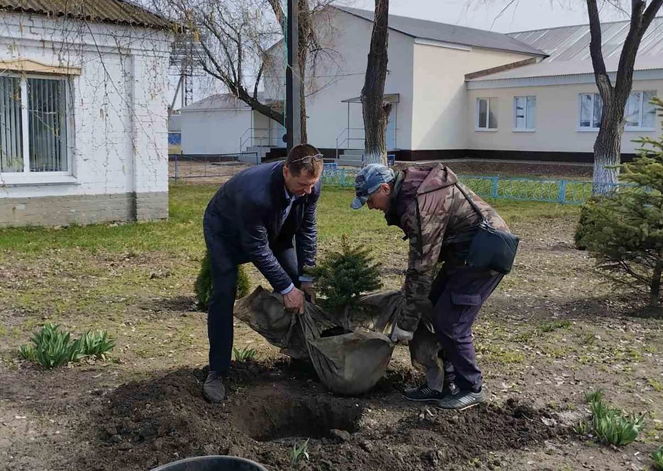 В селе к акции присоединяются ежегодно уже четвертый раз. Фото: национальныепроекты.рф