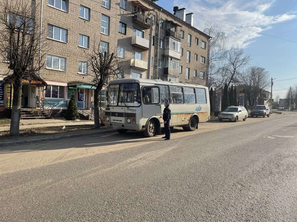 Фото: пресс-служба УГИБДД УМВД России по Костромской области