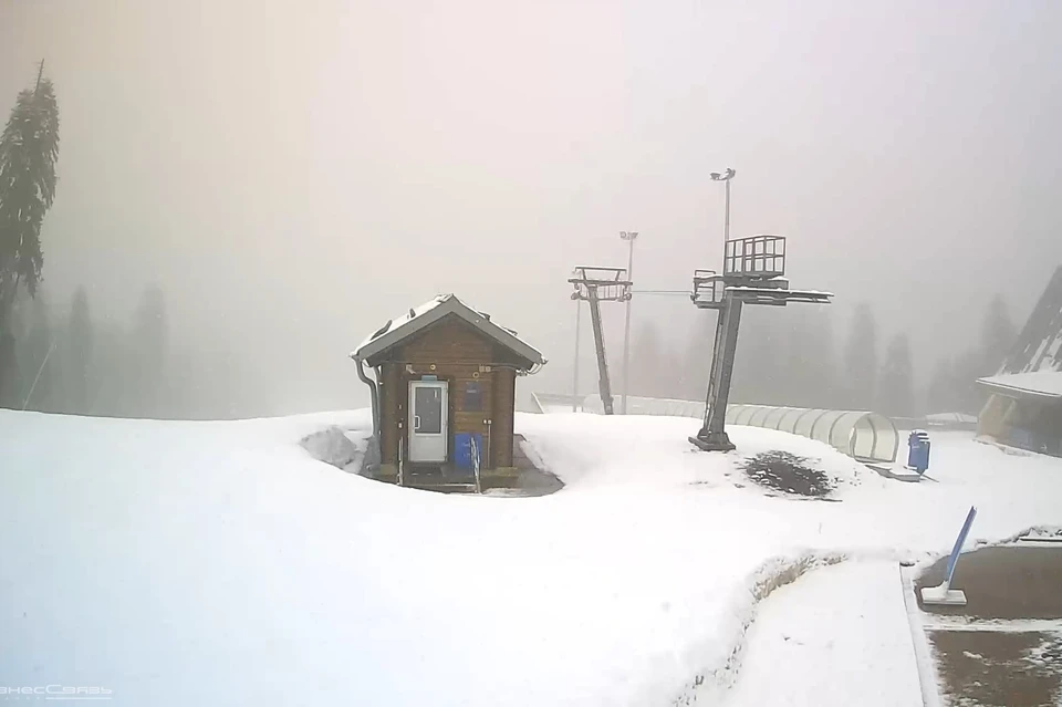 Вот такая обстановка сейчас на уровнее 1600 метров. Фото: sochi.camera