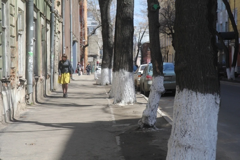 До +11 потеплеет в Иркутске в воскресенье, 23 апреля