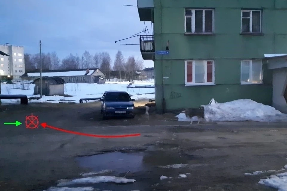 Фото: управление ГИБДД по Коми