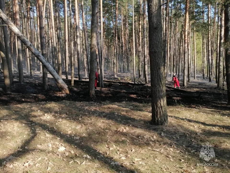Из людей никто не пострадал.