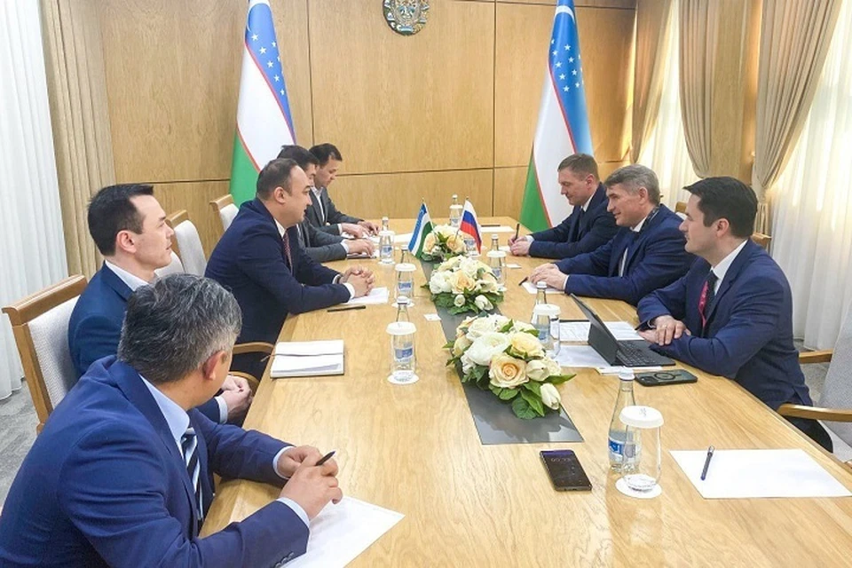 Чувашия и Узбекистан намерены развивать сотрудничество в области здравоохранения. Фото: пресс-служба главы Чувашии