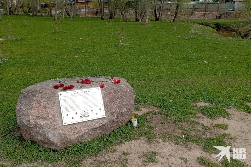 На памятном камне, установленном в юной роще, выбиты имена всех погибших.